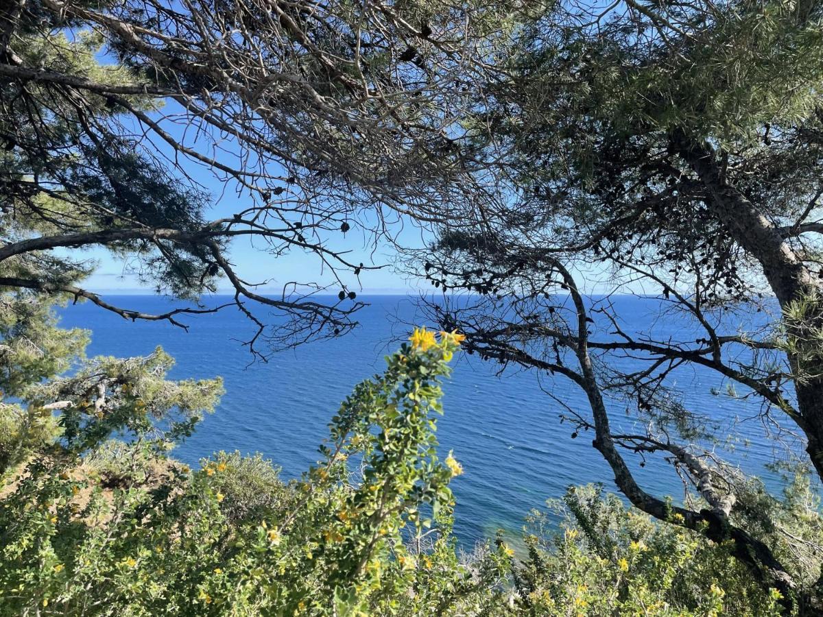 Appartement Mignon Calme Douillet Ascenseur Clim Etage Eleve Proche Parking Et Toutes Commodites Au Coeur Du Toulon Historique Kültér fotó